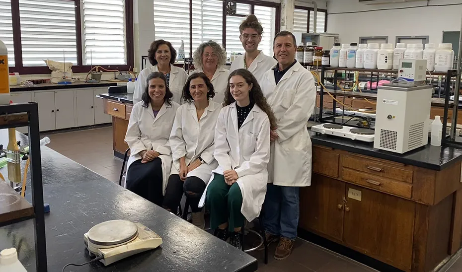 1729675950317EstomagoArtificial_Est