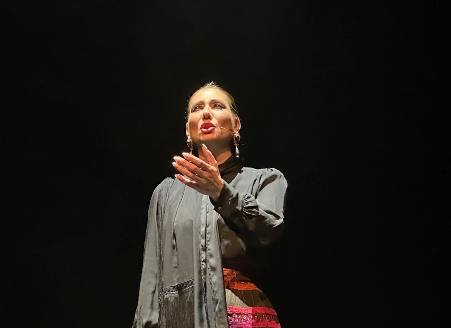 noche mágica de flamenco