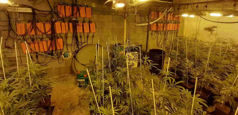 fotonoticia_20240730161611_1920