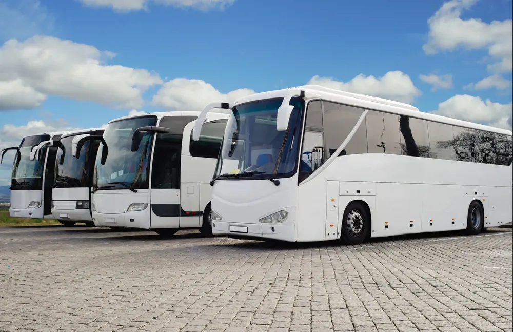 Autobuses en via publica-2