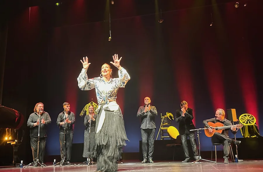 noche mágica de flamenco