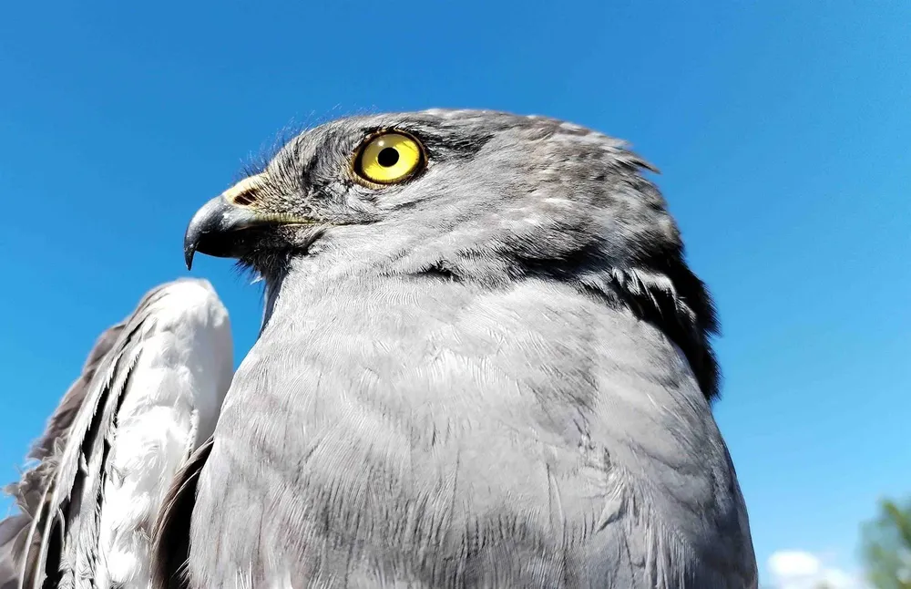 fotonoticia_20240726180750_1920