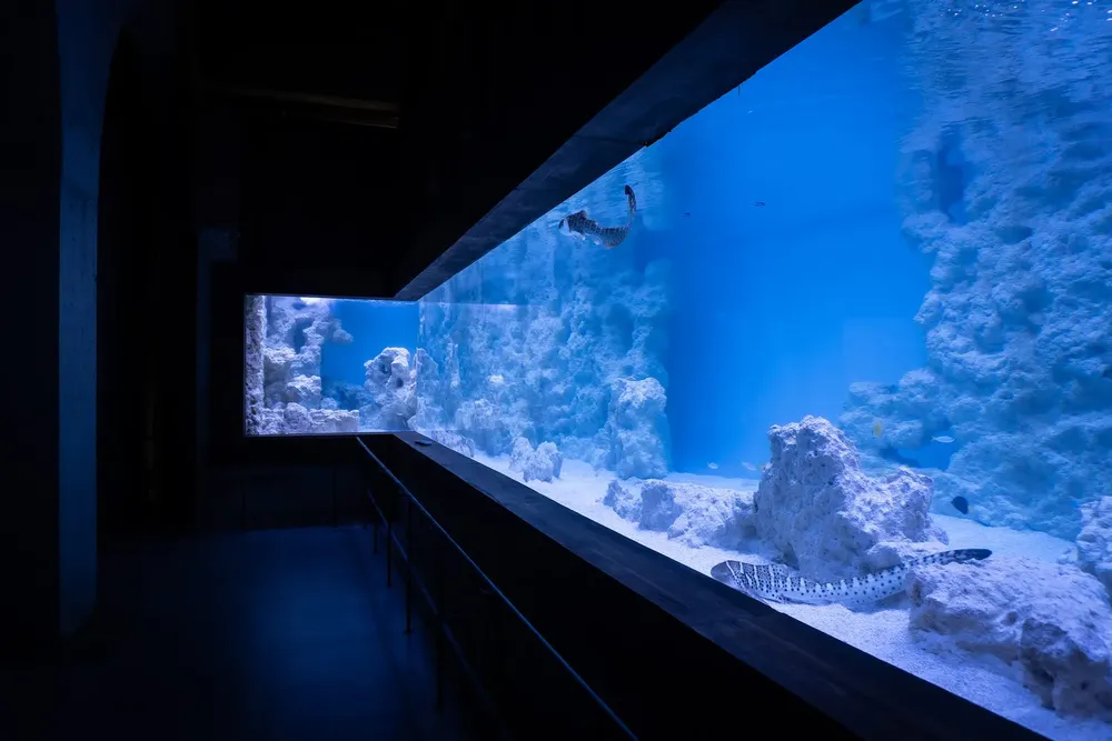 Acuarios de agua salada Bioparc Fuengirola