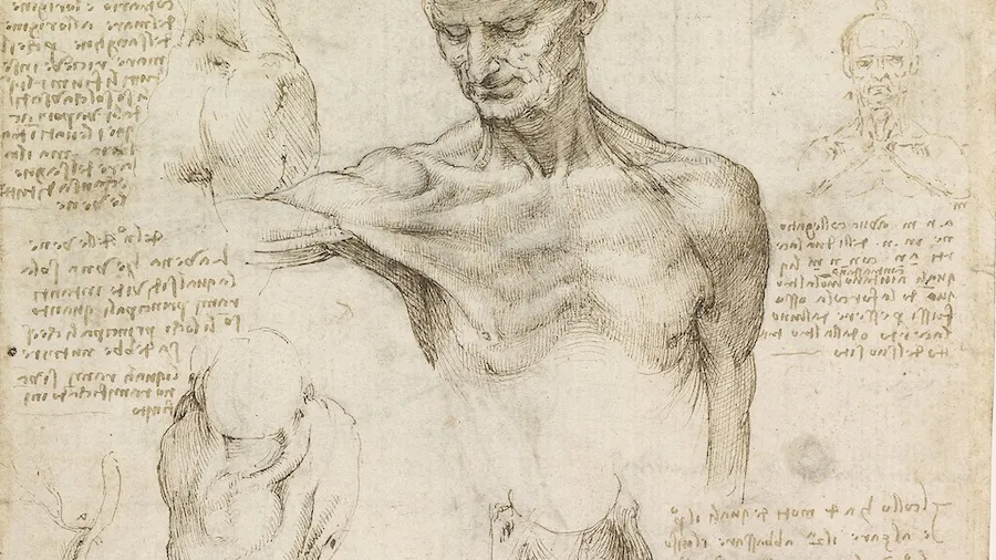 LeonardoHero.width-2000