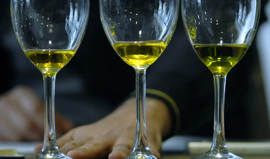 1519306812720AceiteEstandar