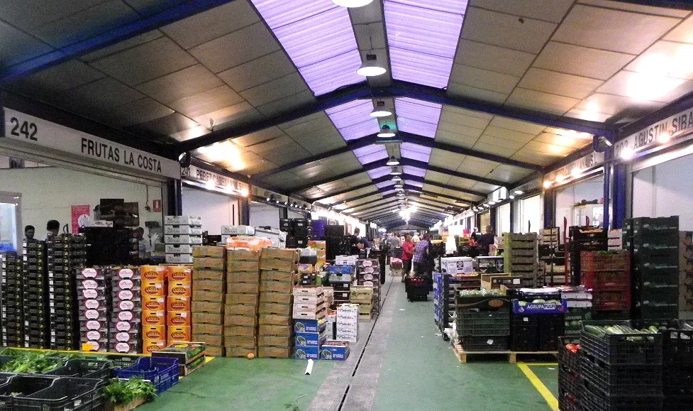 MERCAMÁLAGA - ARCHIVO 4