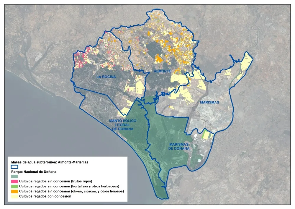 Mapa de masas de agua subterráneas y cultivos en Doñana | Imagen de WWF Mapa de masas de agua subterráneas y cultivos en Doñana | Imagen de WWF