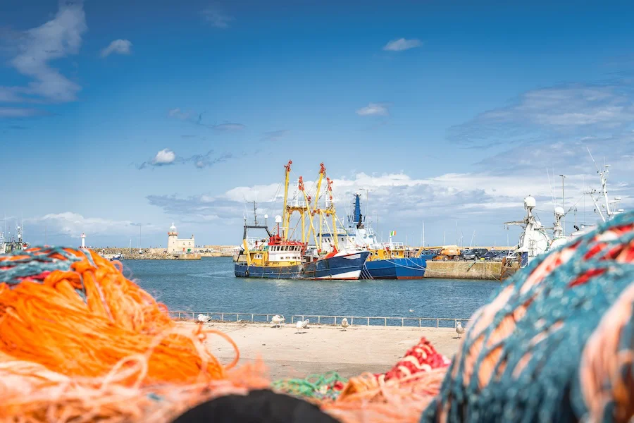 Puerto de Dublín: arrastreros de pesca de merluza en el Mar del Norte | Foto de 123RF/dawidkalisinski
