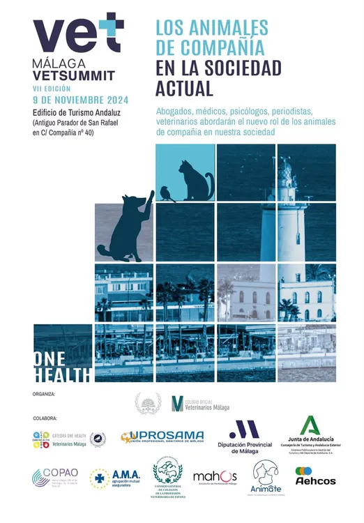 fotonoticia_20241014171557_1920