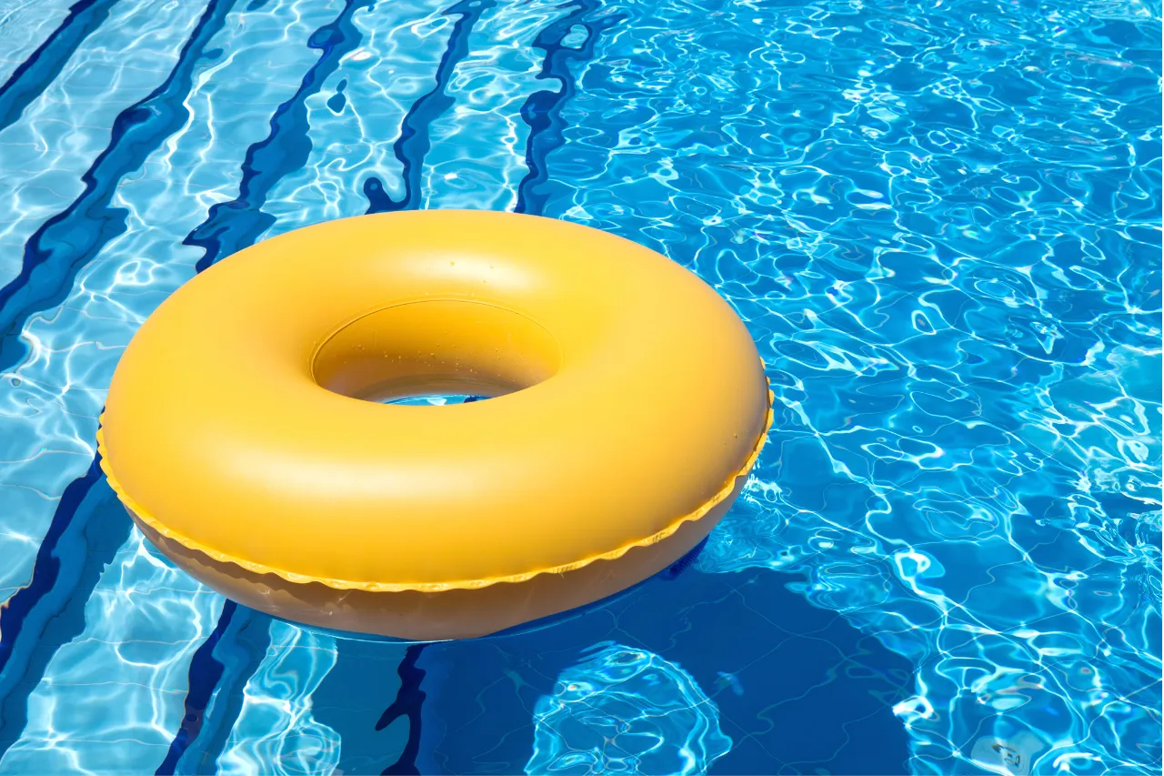 tienda de pinturas - IP