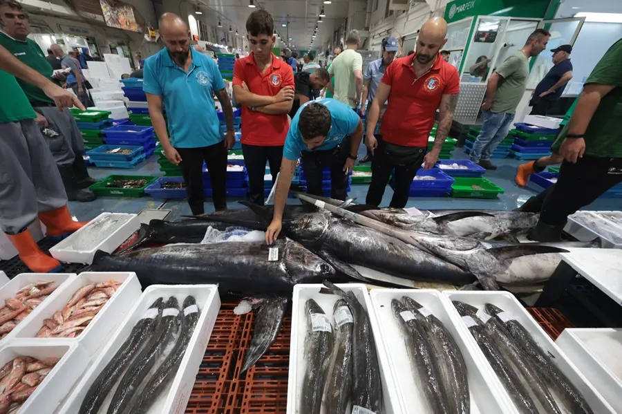 Mercado de pescado Mercamálaga 2024 2