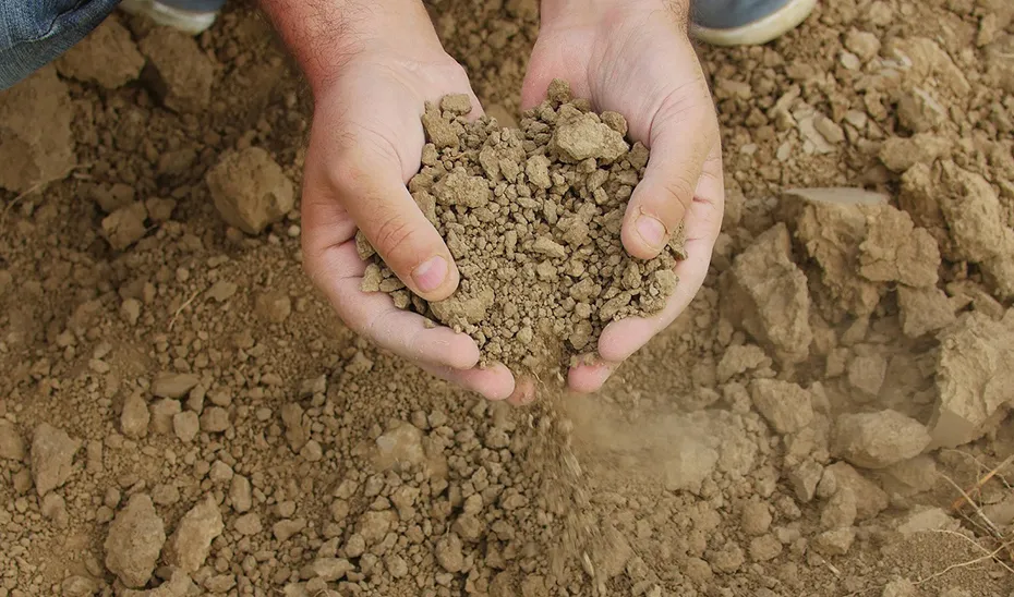 1727953532884Sequia_Est