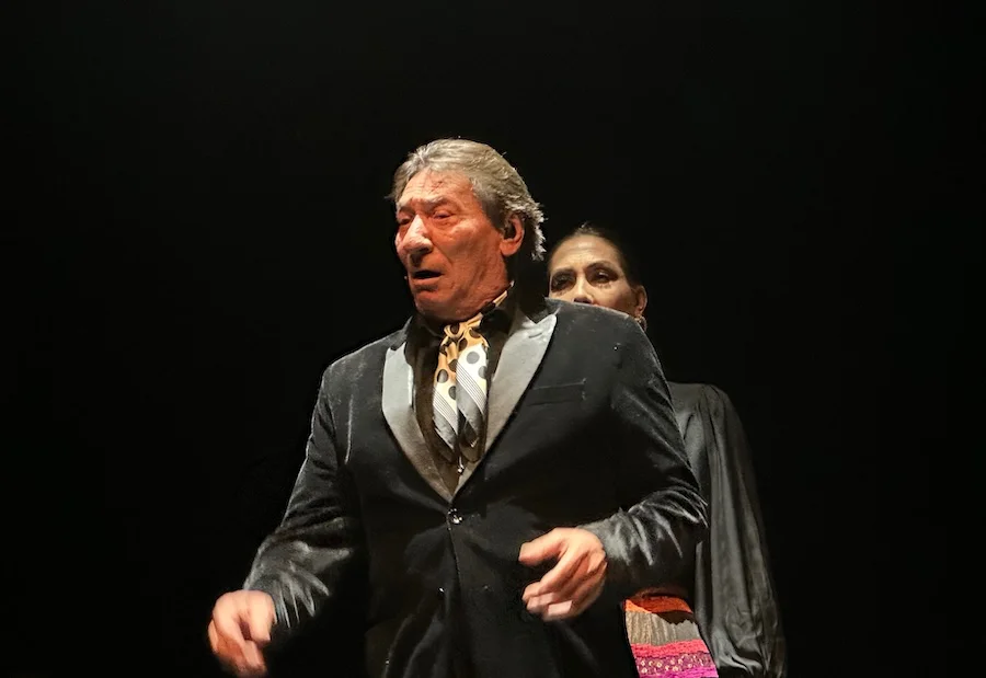 noche mágica de flamenco