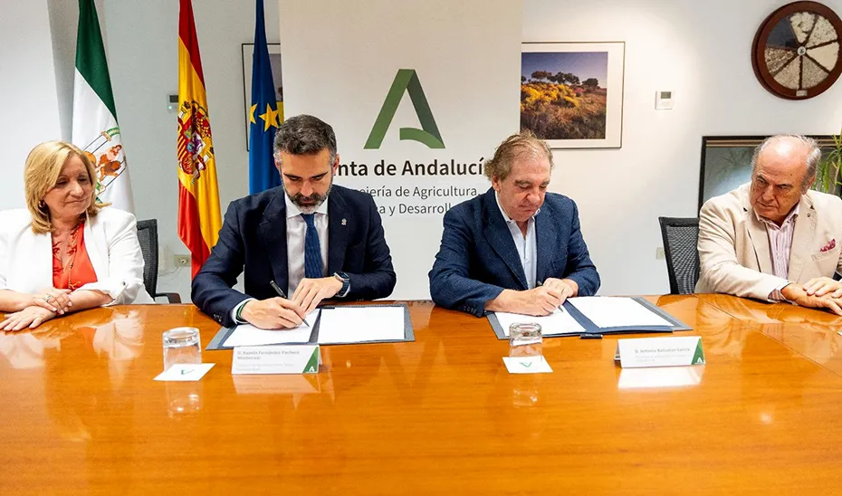 1718191353776PachecoLidia_Est