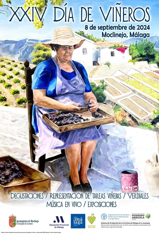 457564606_893014822860063_1311135841051024826_n